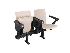 Ghế Hội Trường TWD-201-FGT